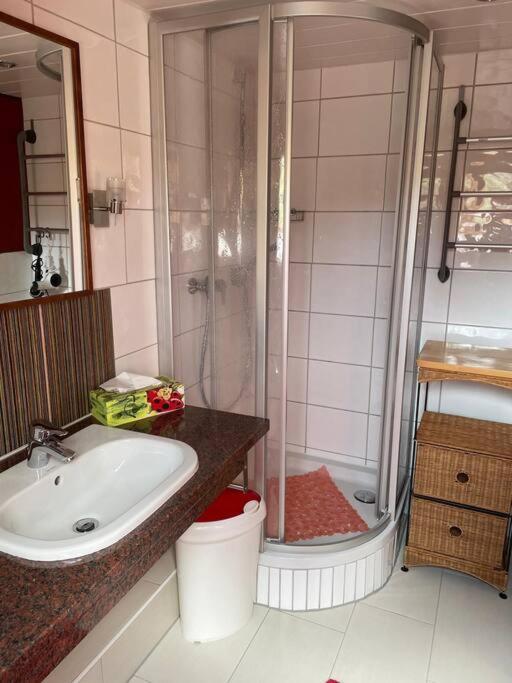 Traumhafte Maisonette-Wohnung Im Schwarzwald 弗罗伊登施塔特 外观 照片
