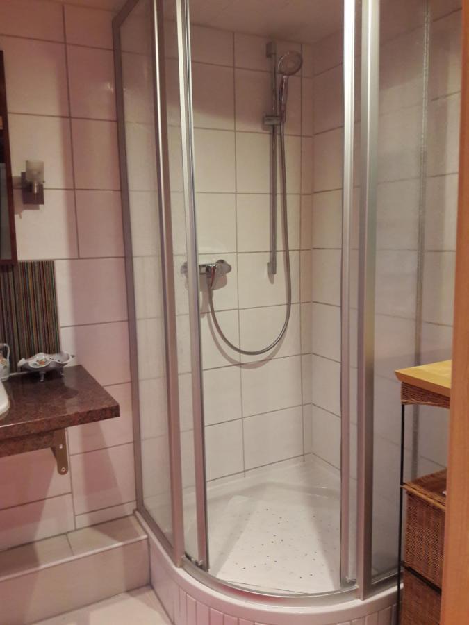 Traumhafte Maisonette-Wohnung Im Schwarzwald 弗罗伊登施塔特 外观 照片